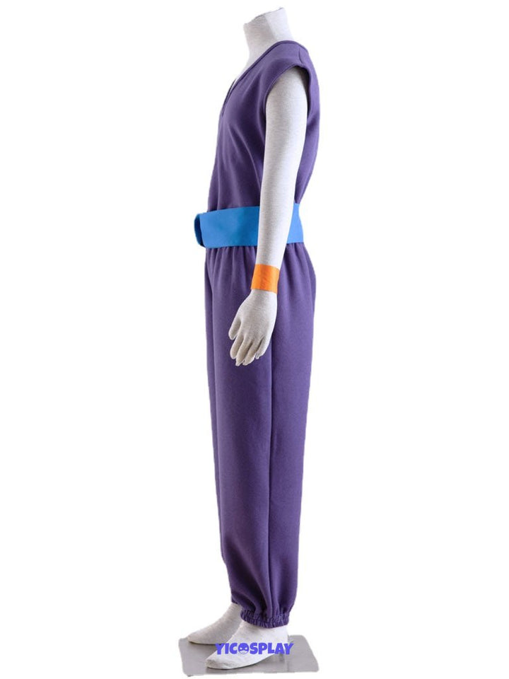 Gohan Purple Outfit From Yicosplay