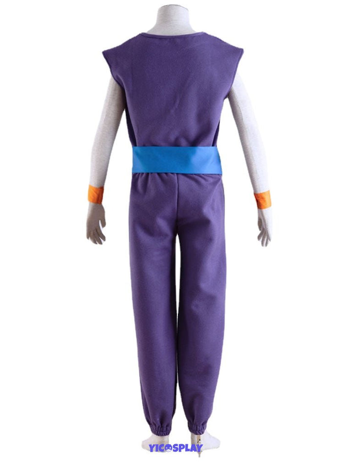 Gohan Purple Outfit From Yicosplay