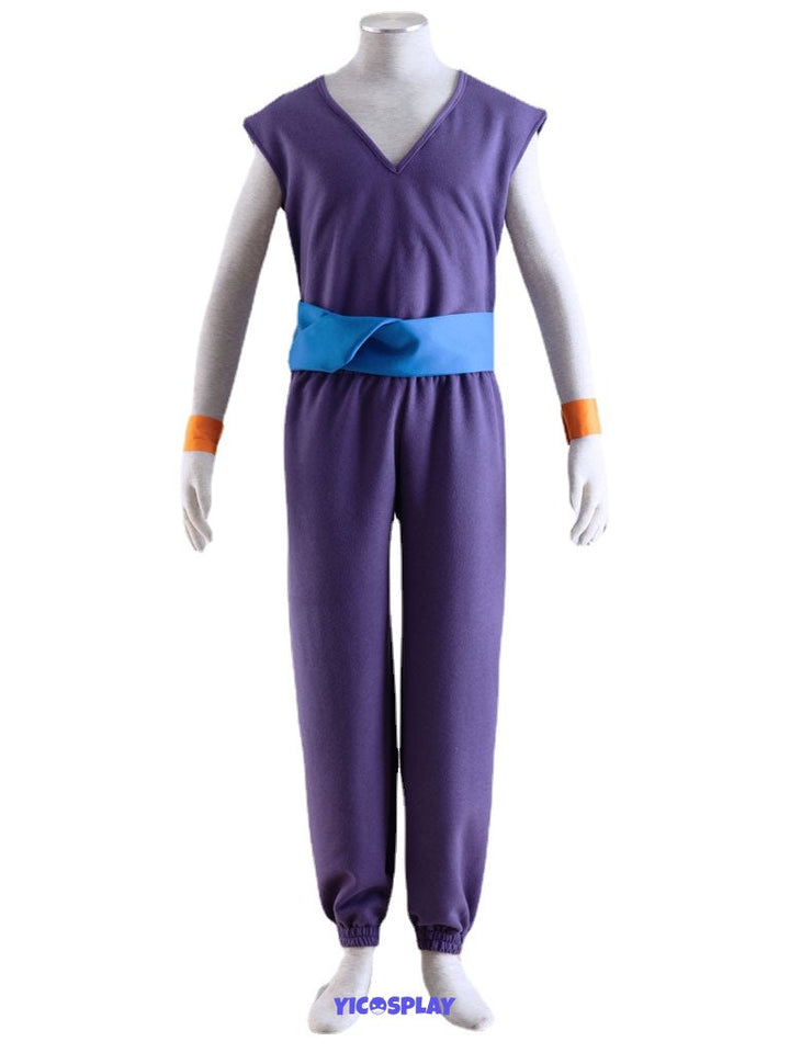 Gohan Purple Outfit From Yicosplay