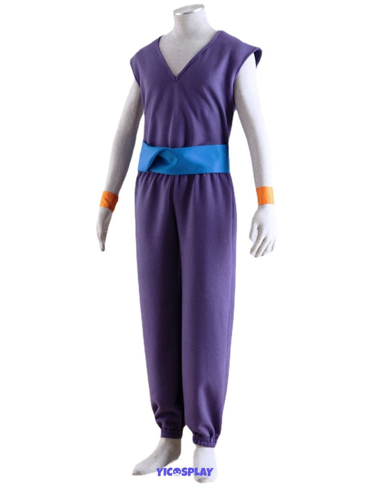 Gohan Purple Outfit From Yicosplay